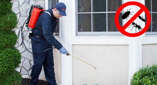 Muş Dezenfeksiyon böcek ilaçlama ve haşere kontrolü — ilaclama-tr.com